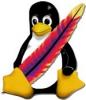 Linux / Apache